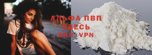 дмт Нягань