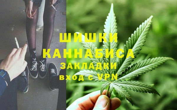 дмт Нягань