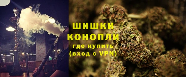 дмт Нягань