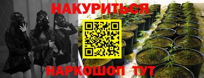 а пвп мука Кингисепп