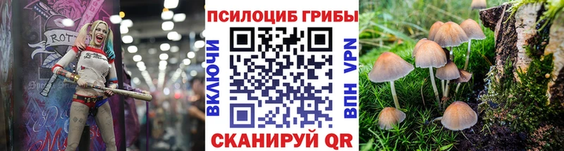 Псилоцибиновые грибы MAGIC MUSHROOMS  darknet какой сайт  Советская Гавань  даркнет сайт 