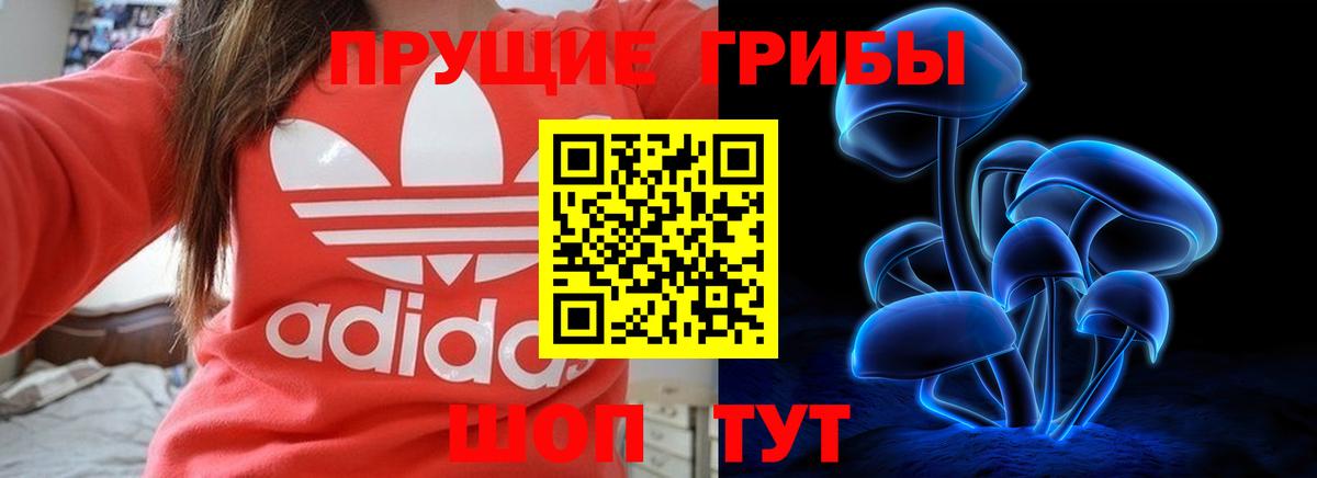 Псилоцибиновые грибы Magic Shrooms  Вход с VPN  Псилоцибиновые грибы GOLDEN TEACHER  Советская Гавань 