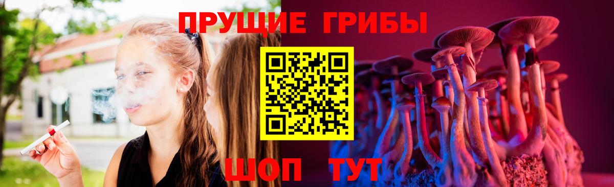 Псилоцибиновые грибы Cubensis Советская Гавань