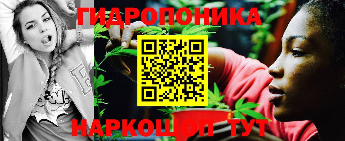 Шишки марихуана SATIVA & INDICA  Шишки марихуана тримм  Канабис Bruce Banner  Советская Гавань  Шишки марихуана гибрид 